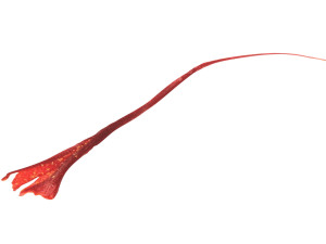 Saffron 3D 模型