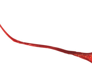 Saffron 3D 模型
