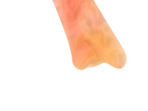 Saffron 3D 模型