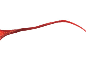 Saffron 3D 模型
