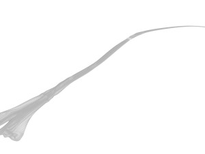 Saffron 3D 模型