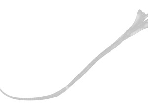 Saffron 3D 模型