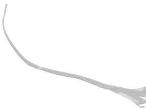 Saffron 3D 模型