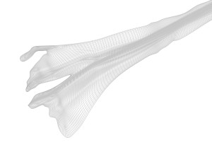 Saffron 3D 模型