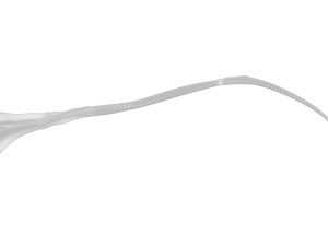 Saffron 3D 模型