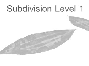 Dried bay leaves 3D Model