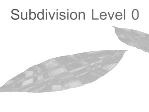 Dried bay leaves 3D Model