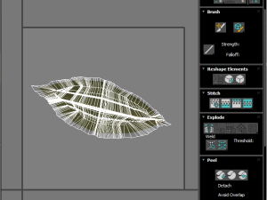 Dried bay leaves 3D Model