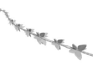 Thyme 3D Model