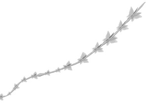 Thyme 3D Model