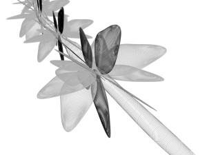 Thyme 3D Model