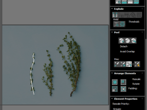 Thyme 3D Model