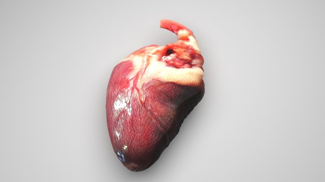 Chicken Heart 3Dモデル .c4d .max .obj .3ds .fbx .stl .blend 