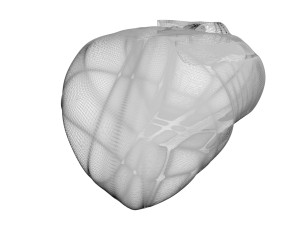 Chicken Heart 3Dモデル