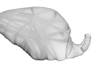 Chicken Heart 3D Model