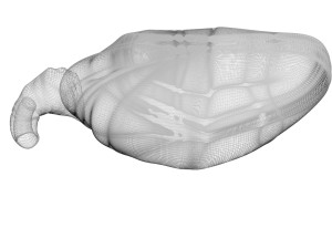 Chicken Heart 3Dモデル
