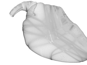 Chicken Heart 3D Model