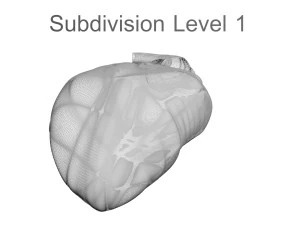 Chicken Heart 3D Model