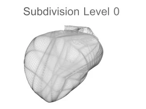Chicken Heart 3D Model