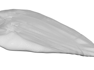 Chicken Breast 3D Model