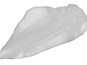 Chicken Breast 3D Model