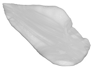 Chicken Breast 3D Model