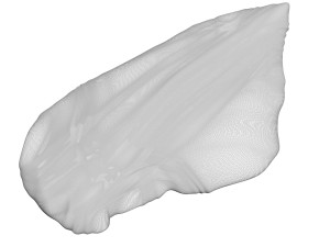 Chicken Breast 3D Model