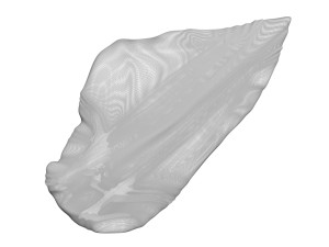 Chicken Breast 3D Model