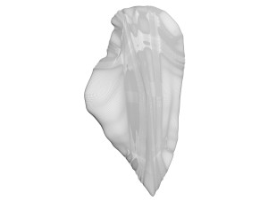 Chicken Breast 3D Model