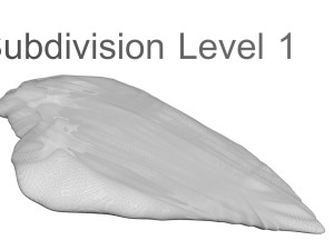 Chicken Breast 3D Model