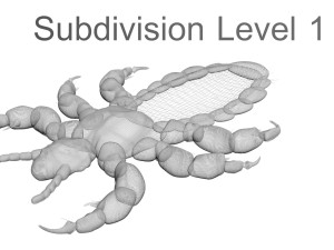 Head Louse Male 3D 모델