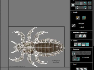 Head Louse Male 3D Model