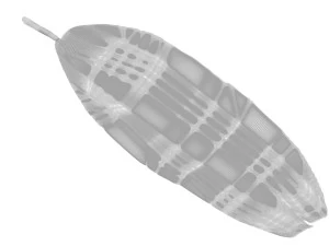 Banana Leaf 3D Model