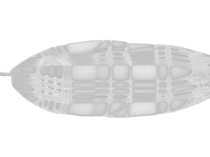 Banana Leaf 3D Model