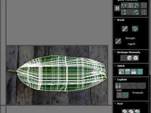 Banana Leaf 3D Modell