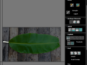 Banana Leaf 3D Modell