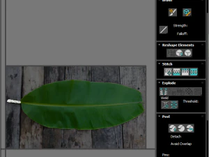 Banana Leaf 3D Model