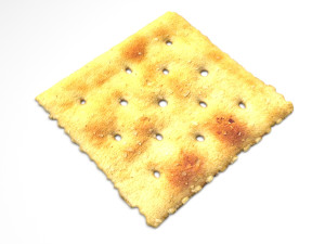 Square Cracker Model 3D