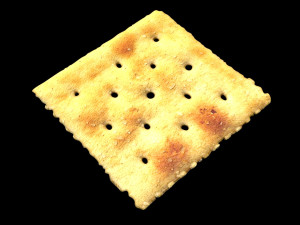 Square Cracker Model 3D