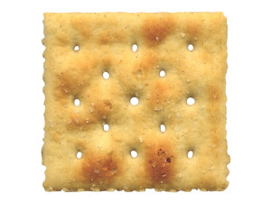 Square Cracker Model 3D
