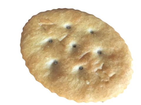 Oval Cracker 3D 모델