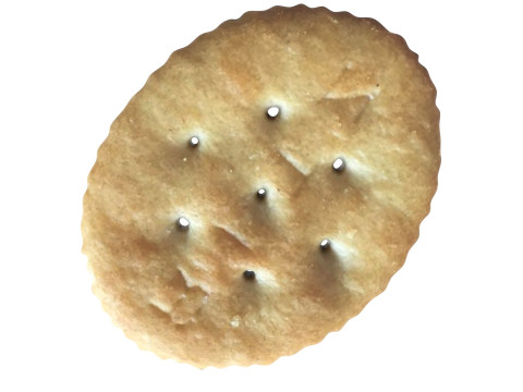 Oval Cracker 3D 모델