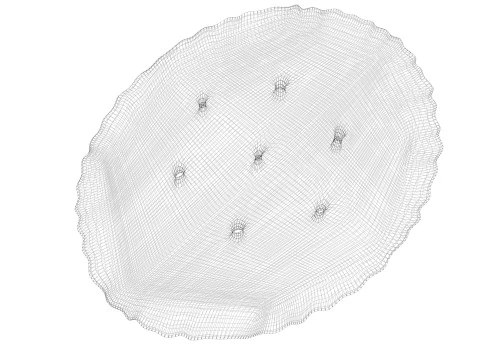 Oval Cracker 3D Model