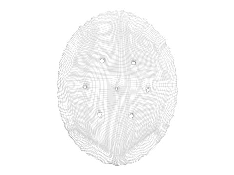 Oval Cracker 3D 모델