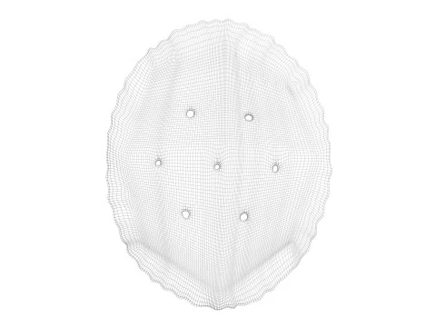 Oval Cracker 3D Model