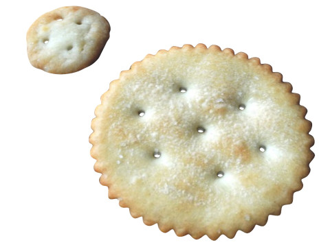 Circle Crackers Model 3D