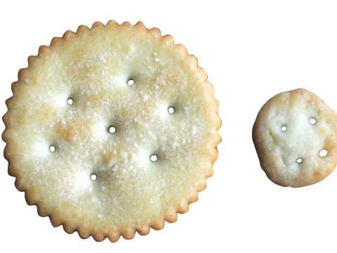 Biscoitos C&iacute;rculos Modelo 3D