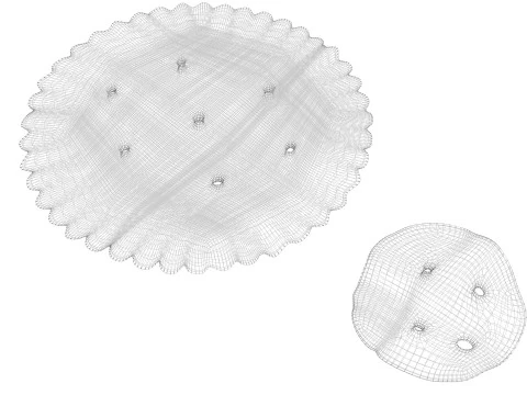 Biscoitos C&iacute;rculos Modelo 3D