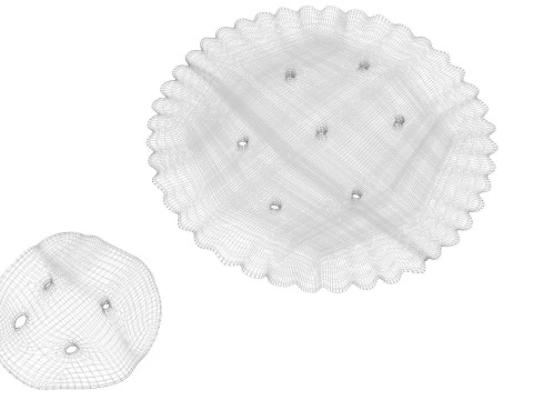 Biscoitos C&iacute;rculos Modelo 3D