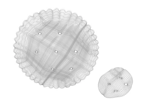 Biscoitos C&iacute;rculos Modelo 3D